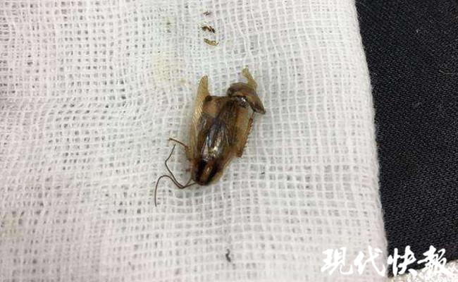 娱乐生活 第14页